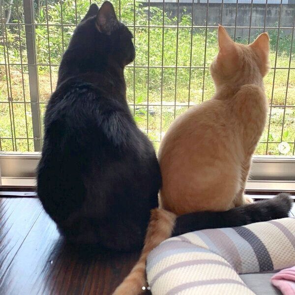 仲良しな空ちゃんと天くん