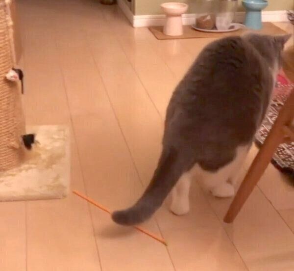 「もじもじウォーク」をするドラ千代くん