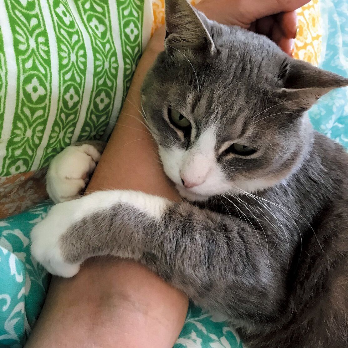 撮影／奥山美奈子