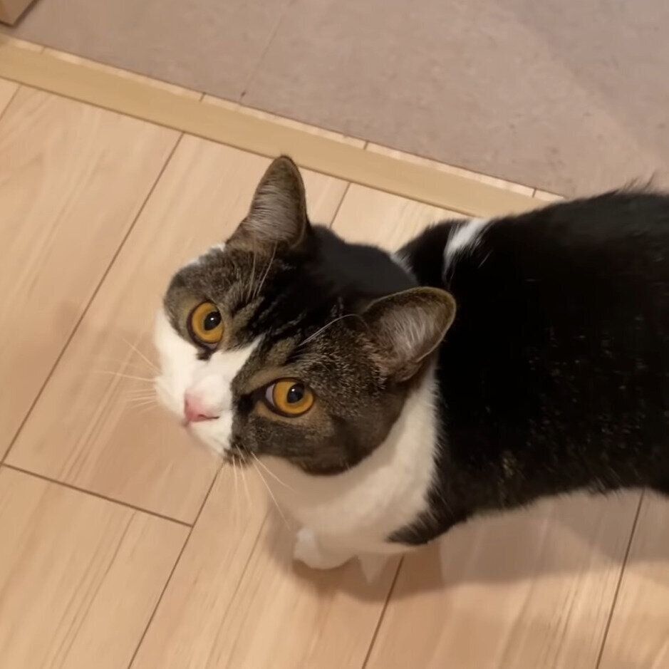 ママさんについて歩くうま次郎ちゃん