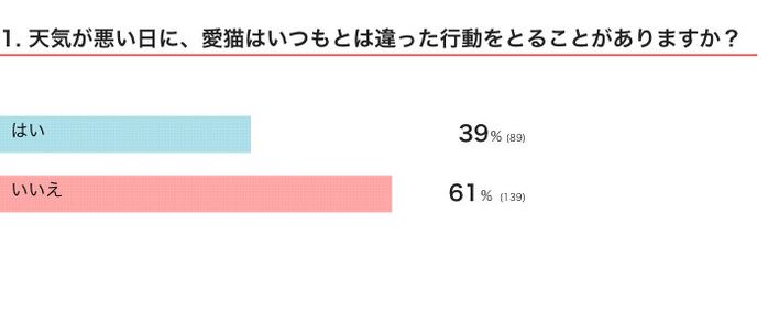 天気が悪い日に、愛猫はいつもとは違った行動をとることがある?