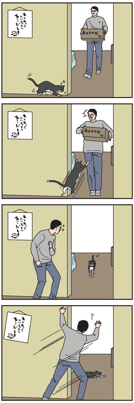 男の猫道 29話目