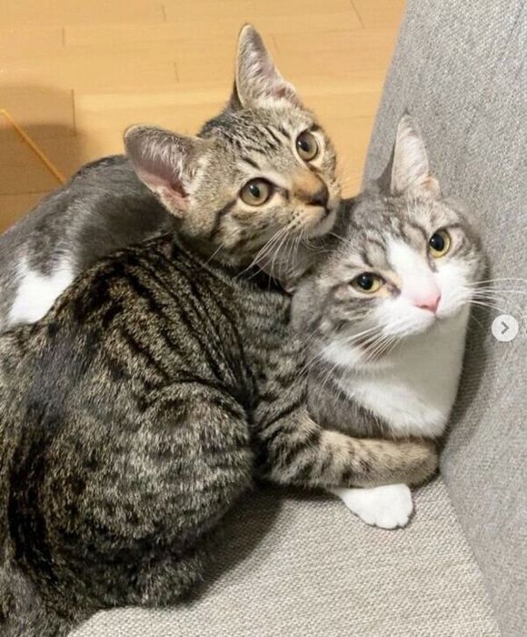 仲良しなイヴくんとノアちゃん
