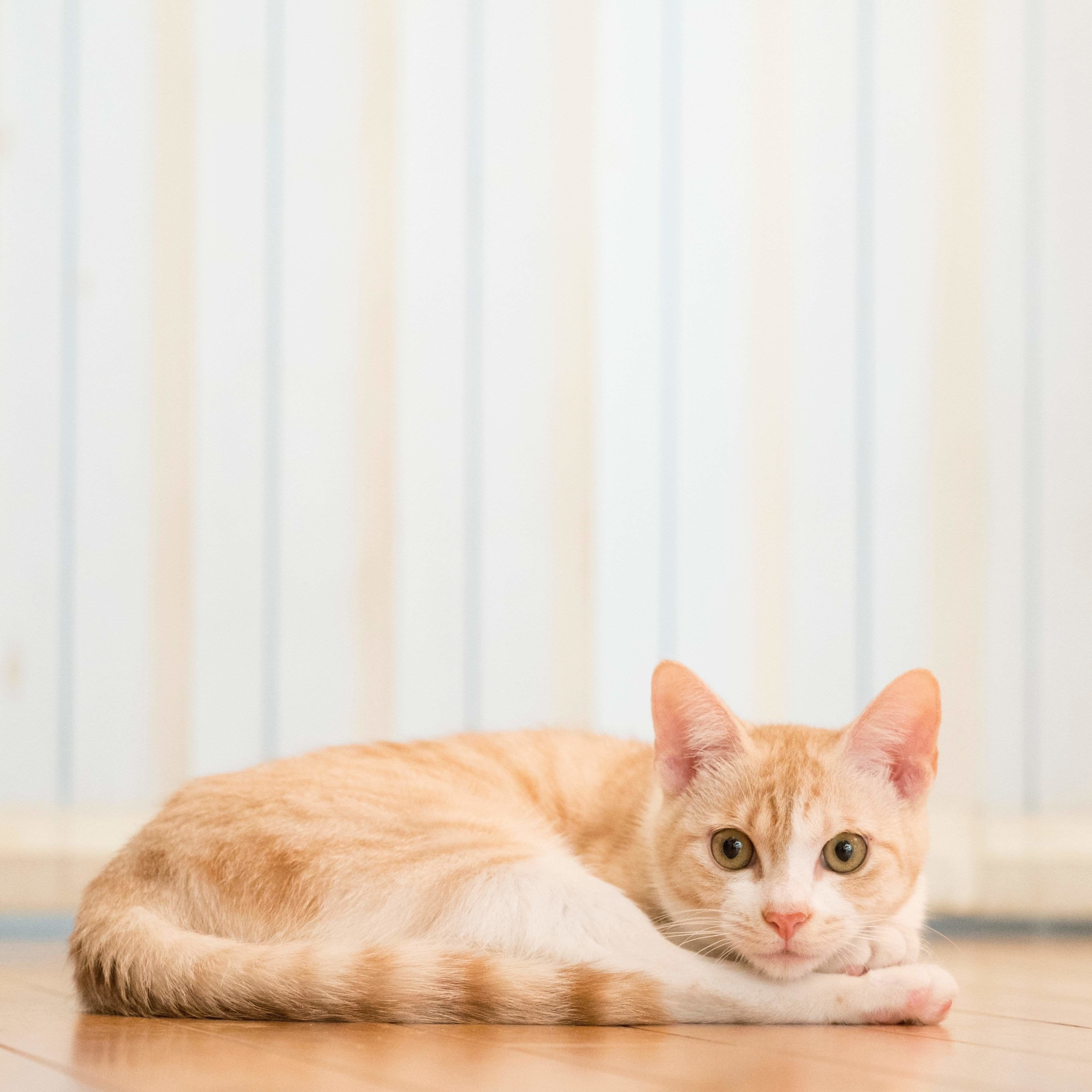 撮影／小森正孝