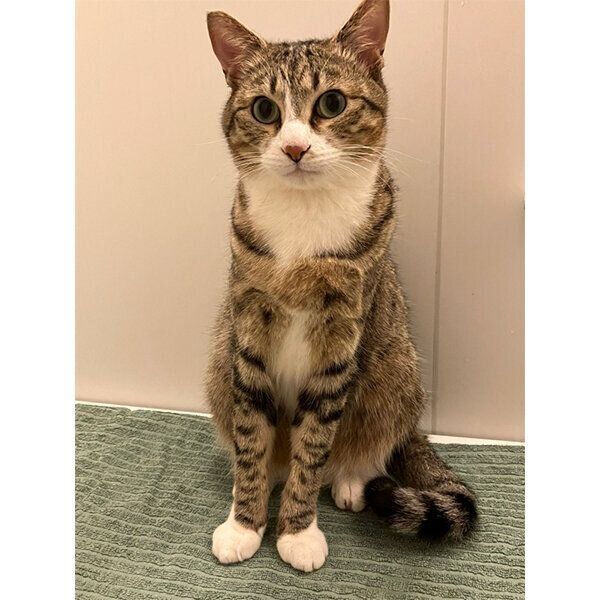 おすわりするもん吉くん