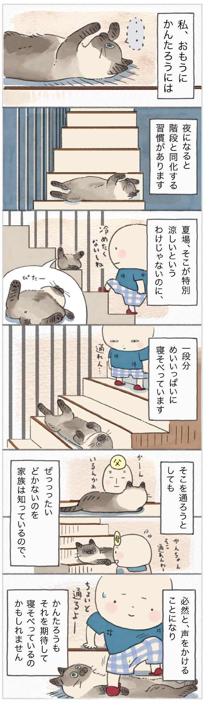 「ねこ連れ草」191話め