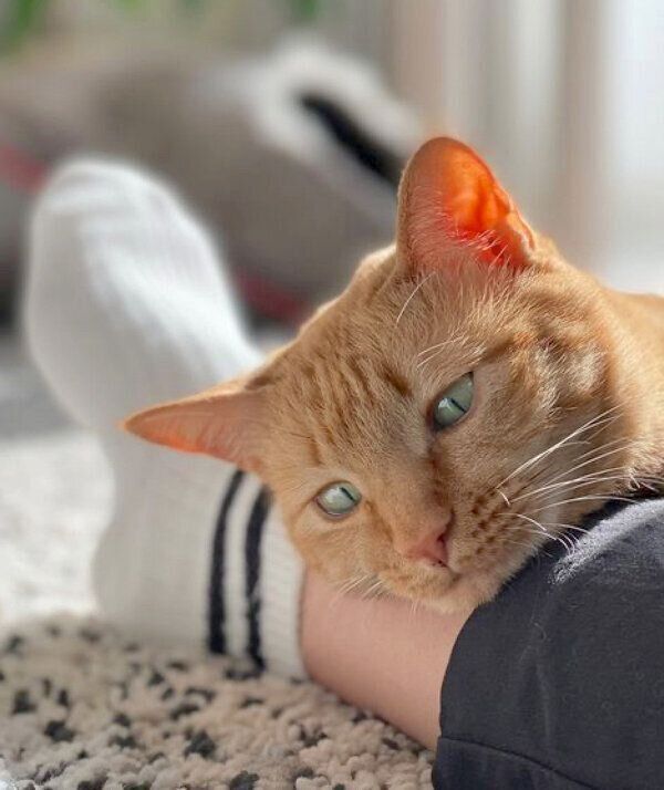 甘えるモモちゃん