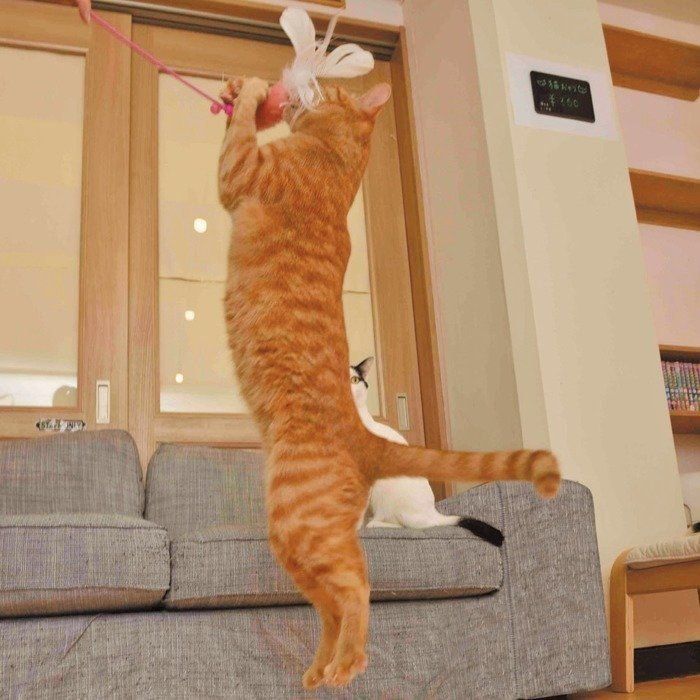 撮影／尾崎たまき