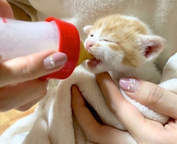 ミルクを飲むうにくん