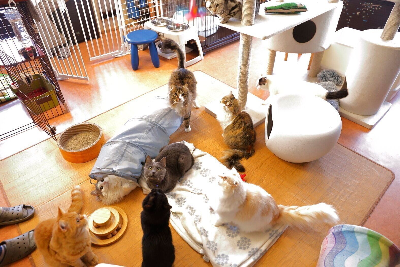 撮影／後藤さくら