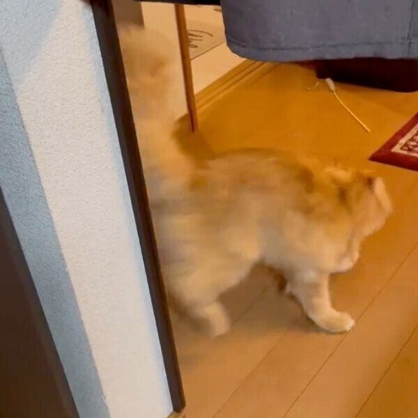 逃げるエマちゃん