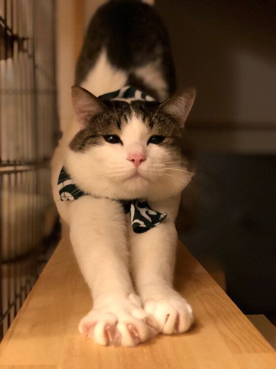 伸び伸びをする誉くん