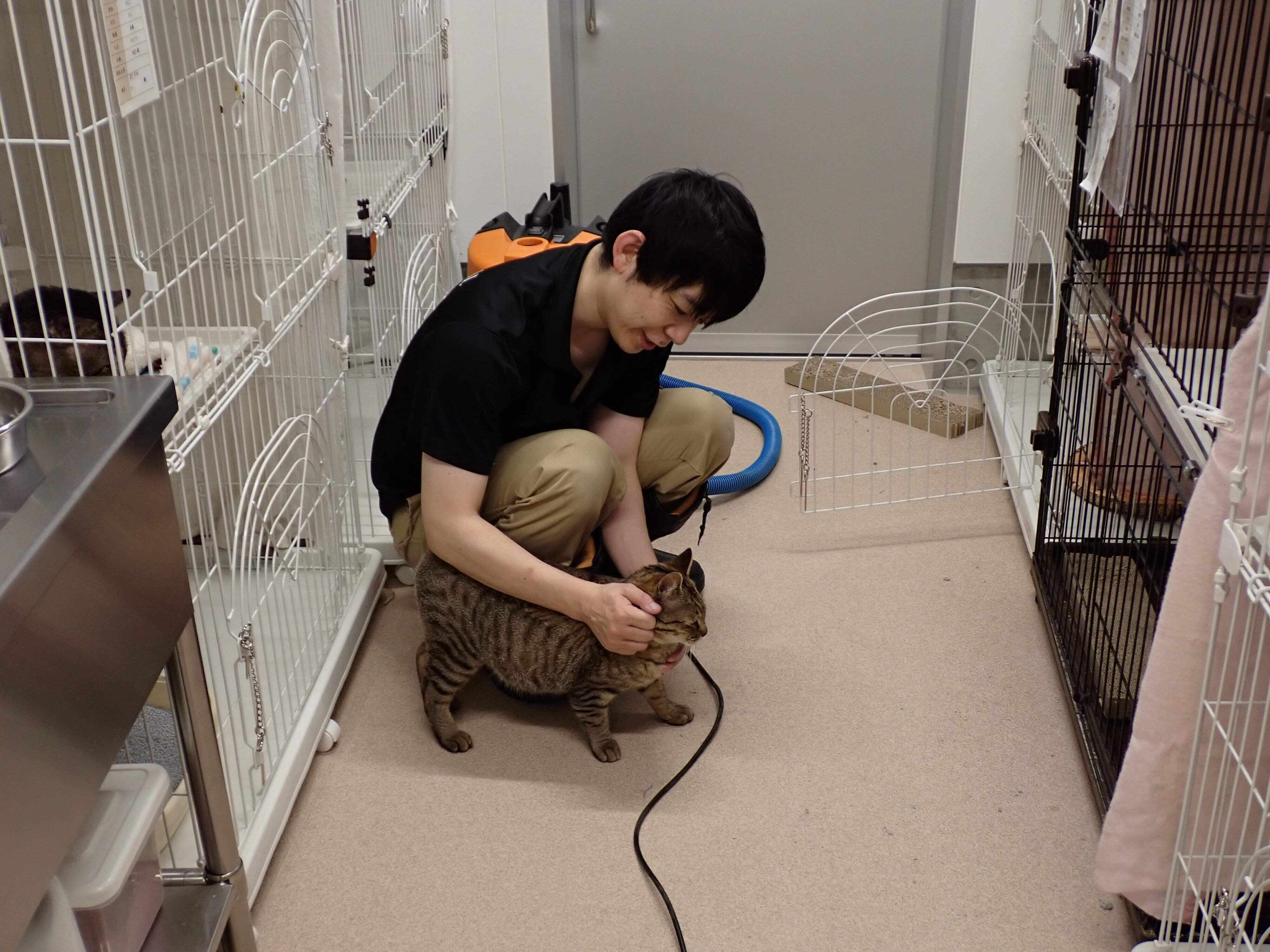 写真提供／札幌市動物愛護管理センター「あいまる さっぽろ」