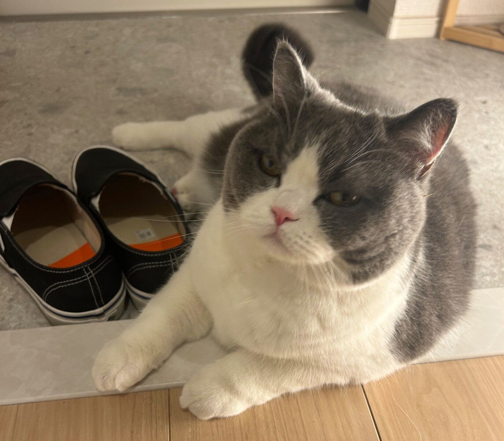 外出阻止をするもずくくん