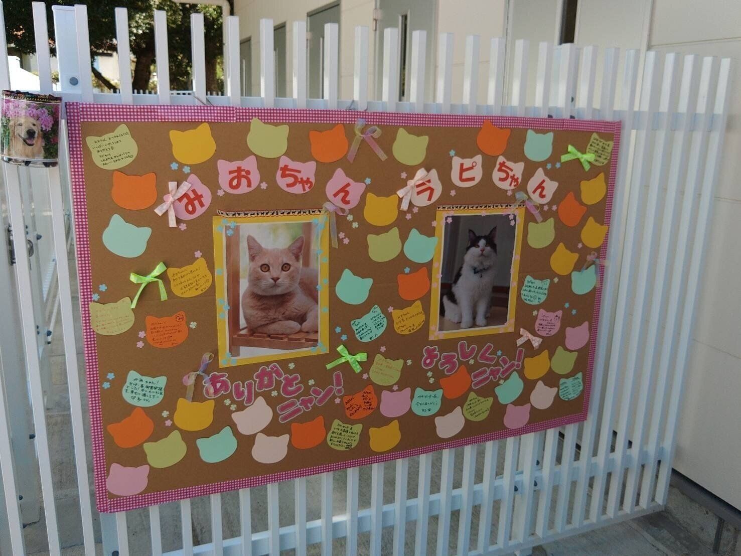 写真提供／神戸市環境衛生課