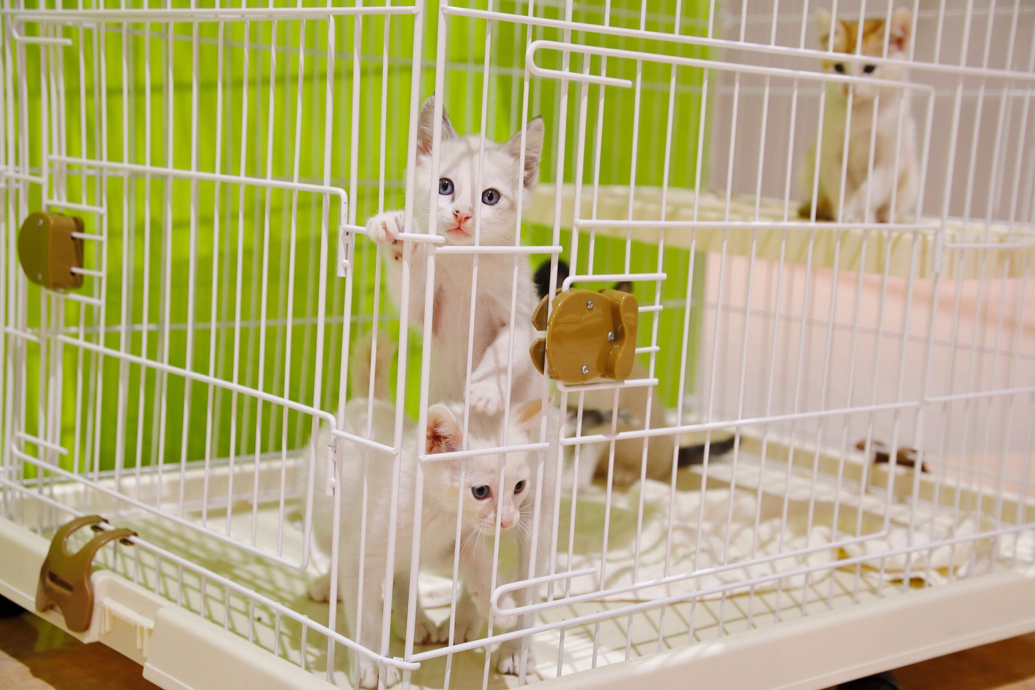 撮影／後藤さくら