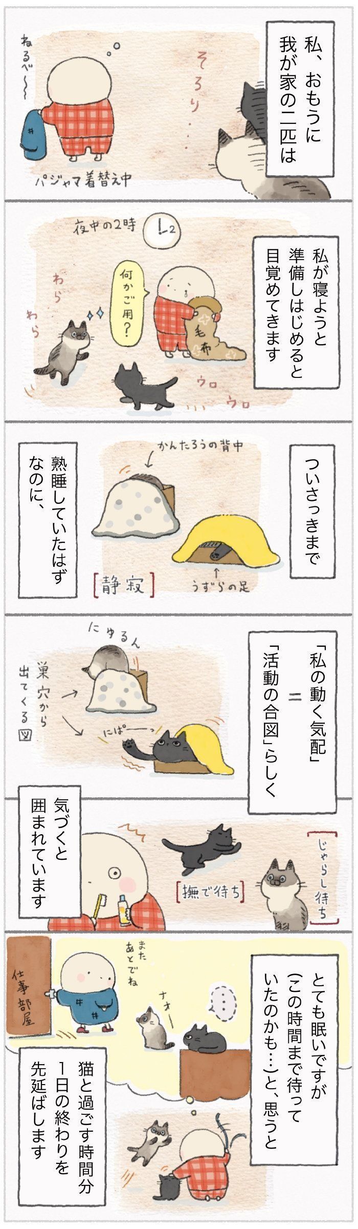 「ねこ連れ草」111話め