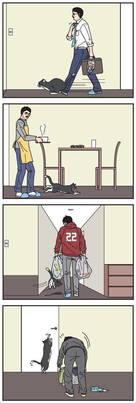 「男の猫道」vol.45