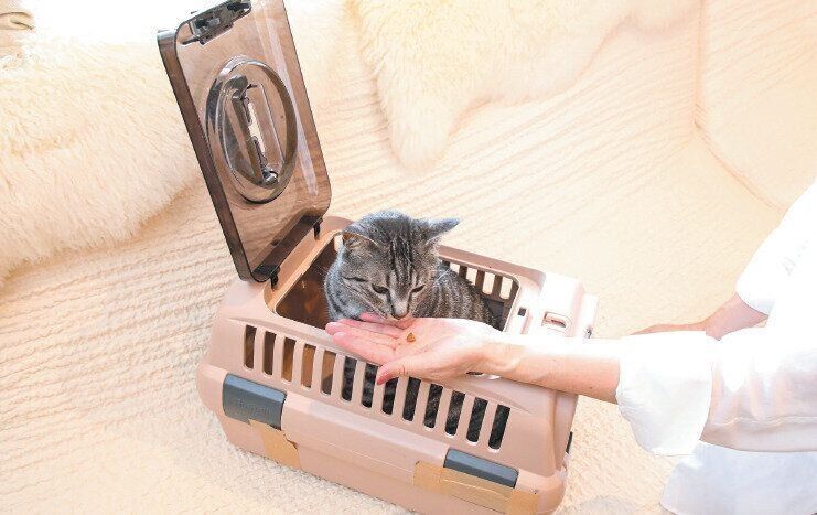 撮影／尾﨑たまき