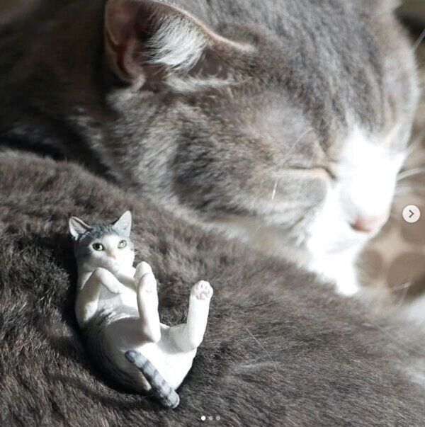 カプセルトイ「AIP 森口修の猫 フィギュアマスコット２～新色～」