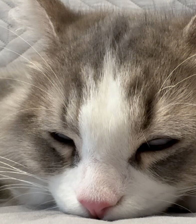 眠る霖くん