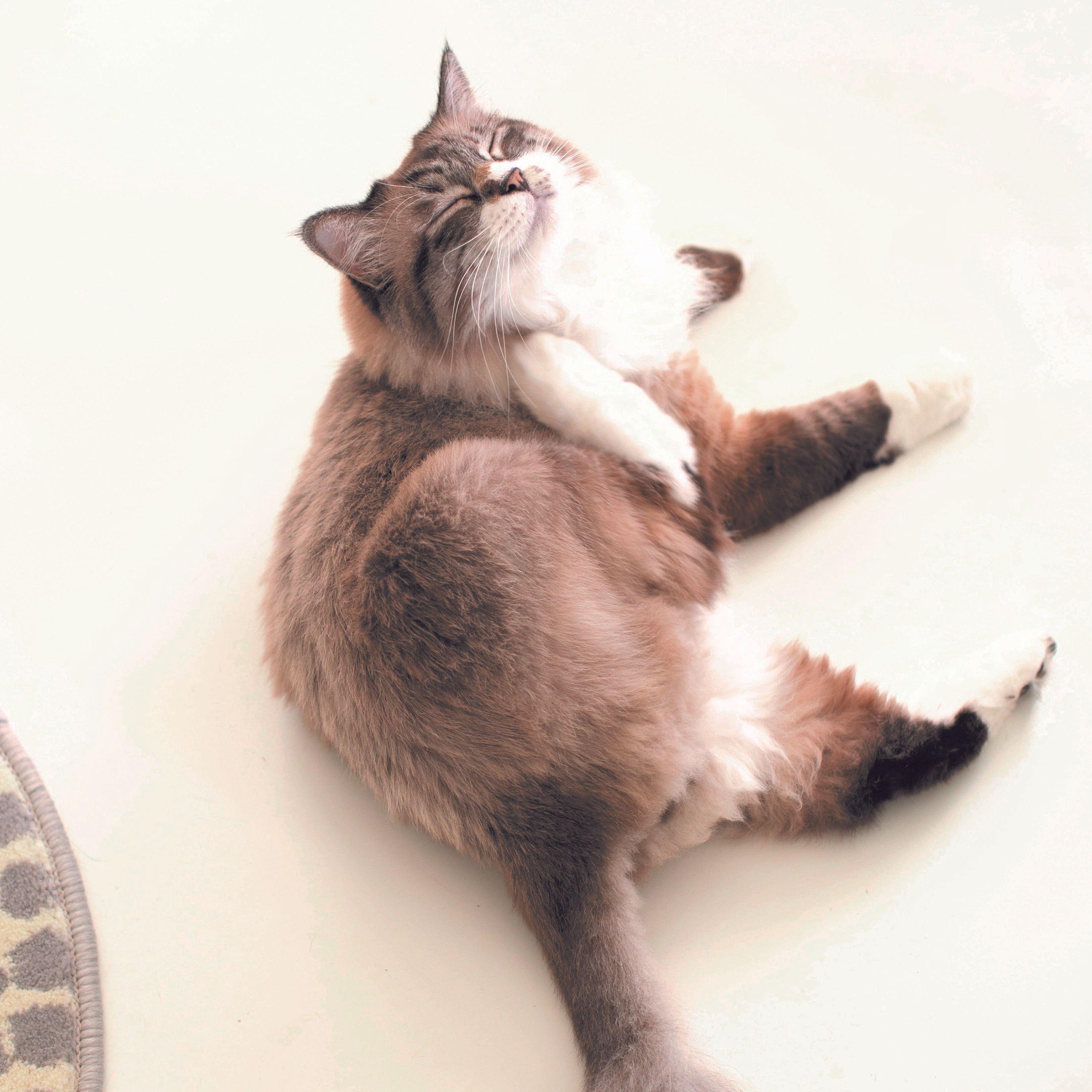 撮影／尾崎たまき