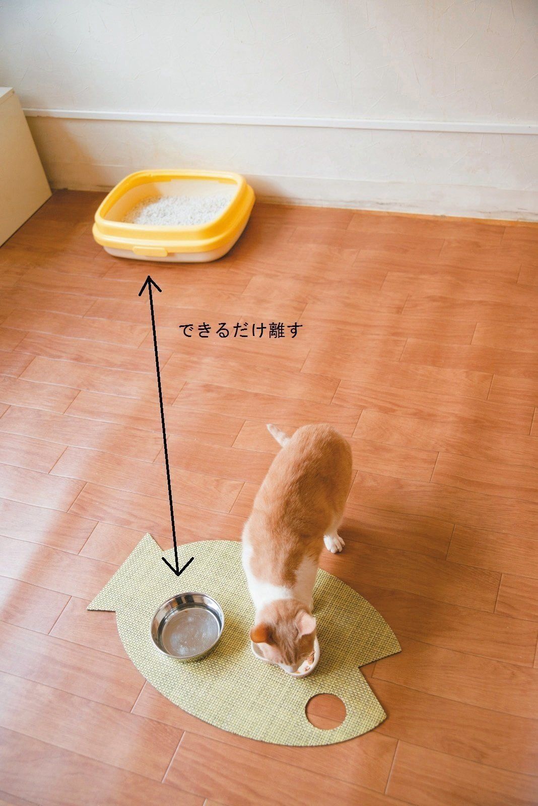 撮影／中川文作