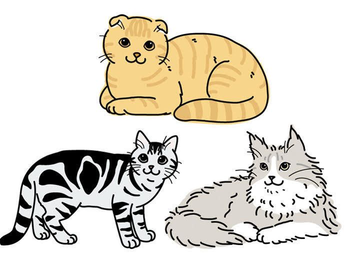 イラスト／chizuru