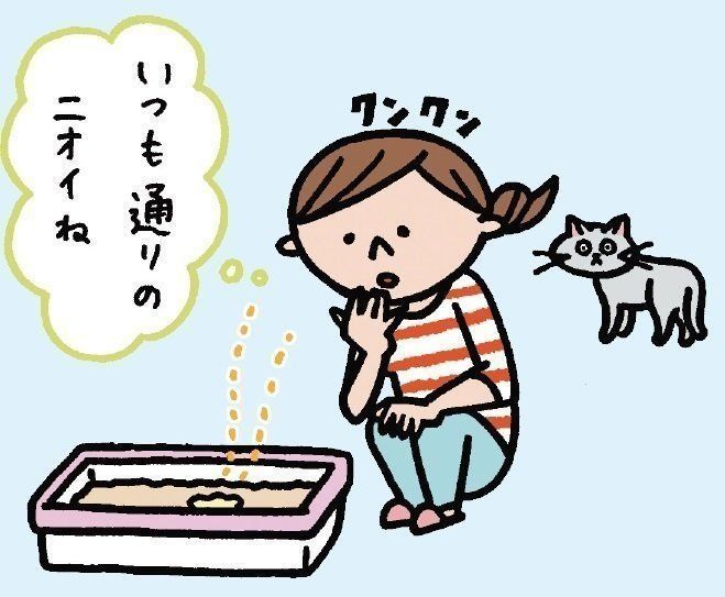 イラスト／こさかいずみ