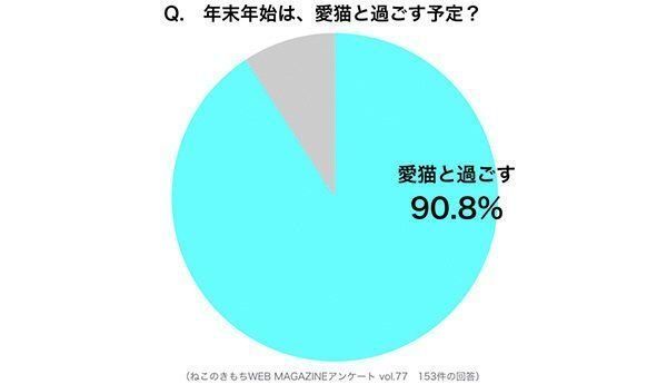 調査：年末年始は愛猫と過ごす？