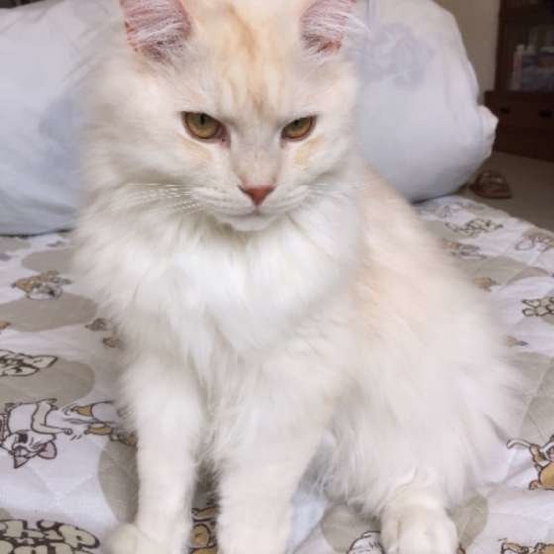 Jp9jycwgdfkhqm Jp9jycwgdfkhqm