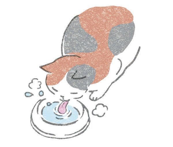 猫の健康維持に直結する寒さ対策