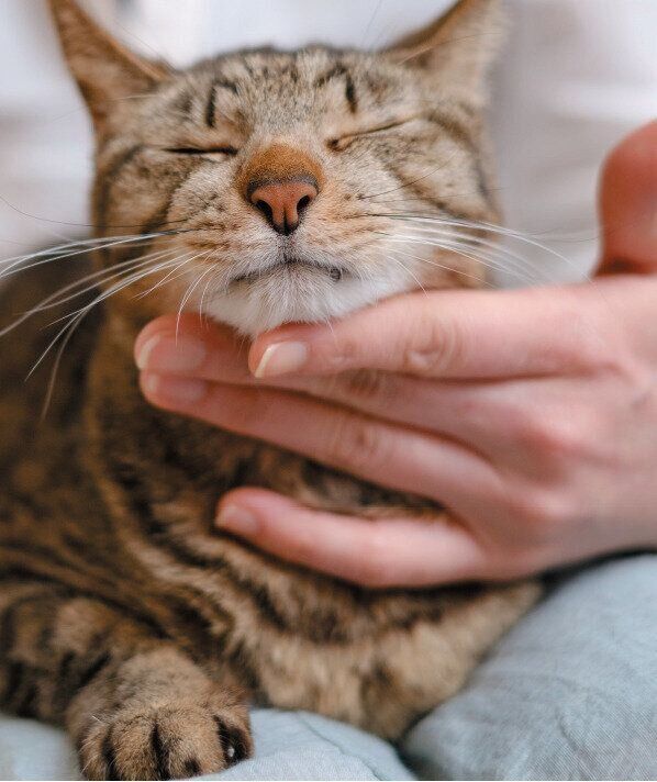 撮影／Akimasa Harada