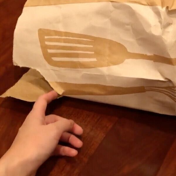 袋に入って遊ぶもちゃこちゃん