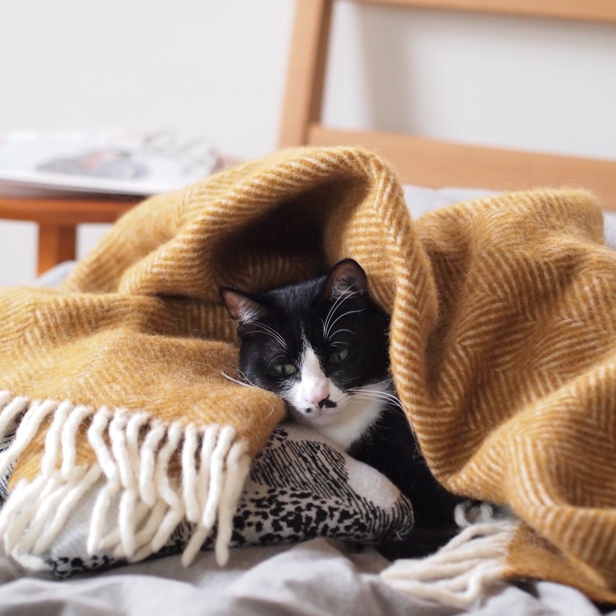 撮影／オゼキカナコ