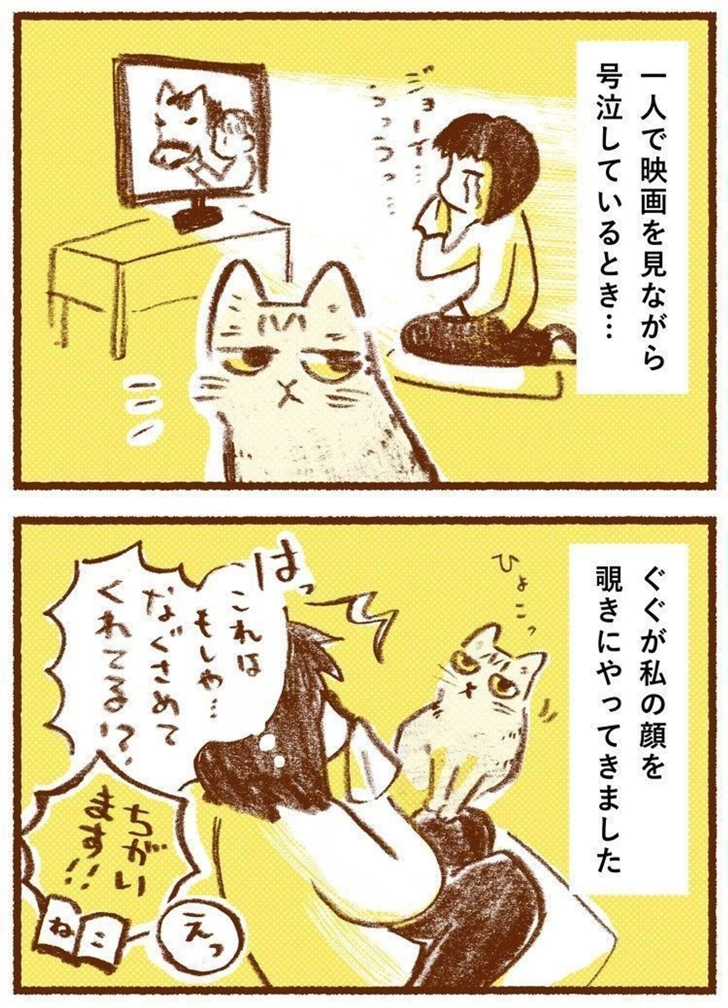 人が泣いているとそばに寄り添うとき 猫はこう思っていた しまねこぐぐの猫の本音事典 その4 ねこのきもちweb Magazine 人が泣いているとそばに寄り添うとき 猫はこう思っていた しまねこぐぐの猫の本音事典 その4 ねこのきもちweb Magazine