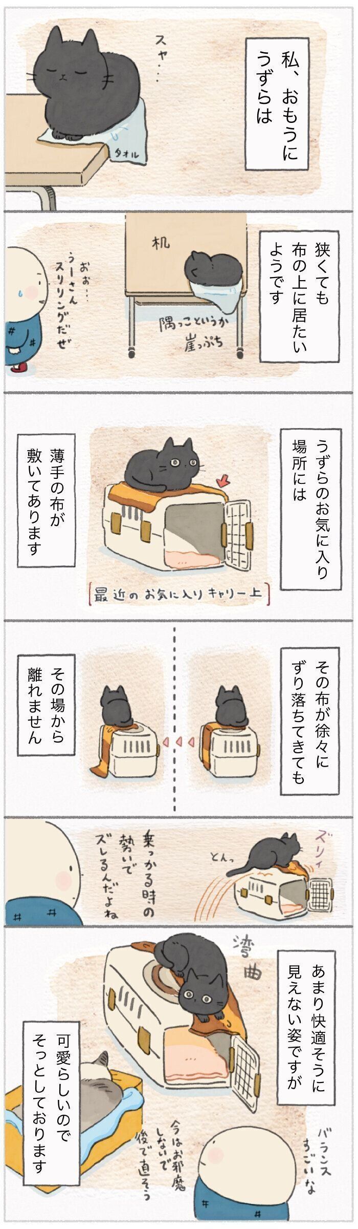 「ねこ連れ草」197話め