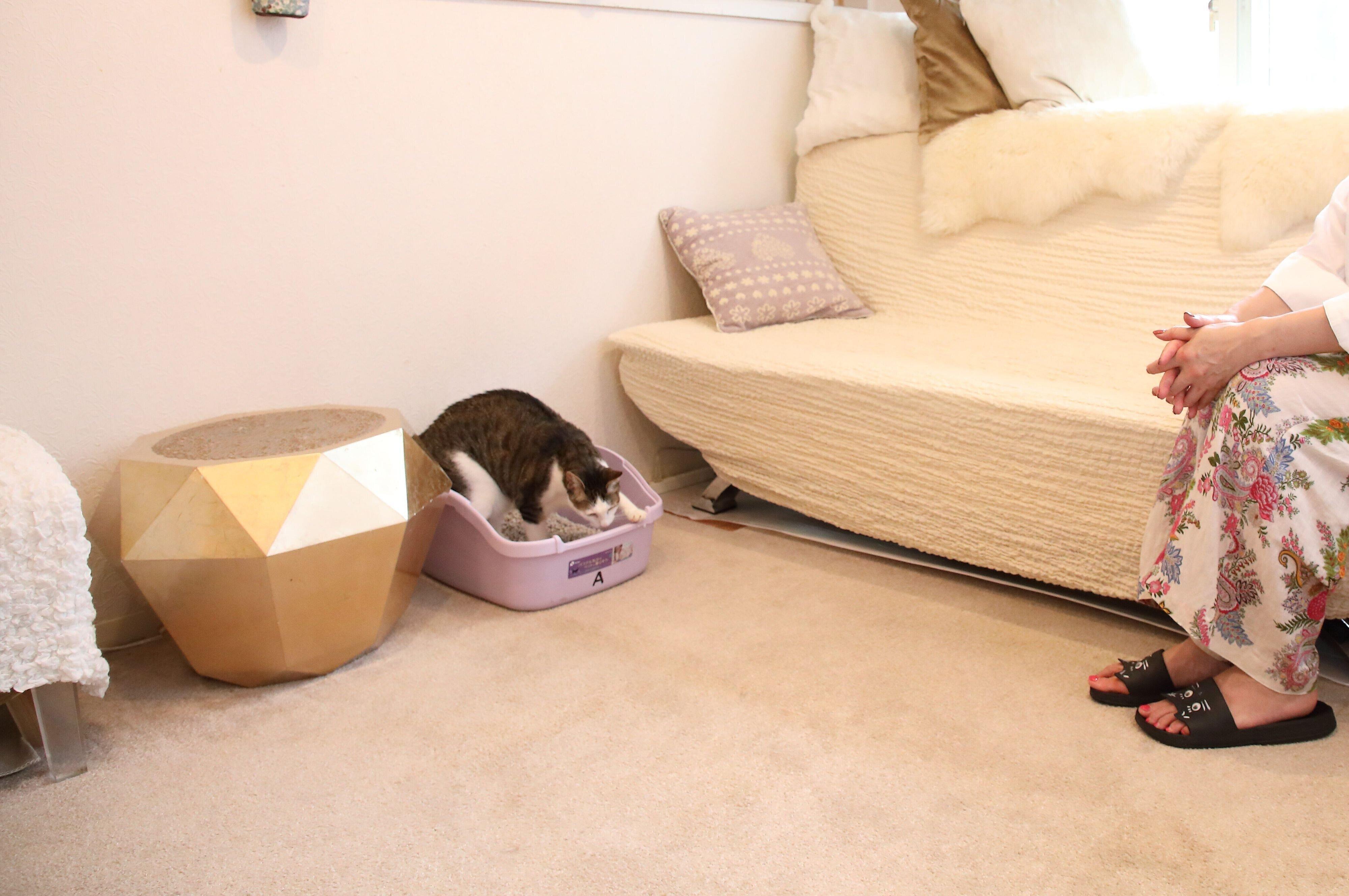 撮影／尾﨑たまき