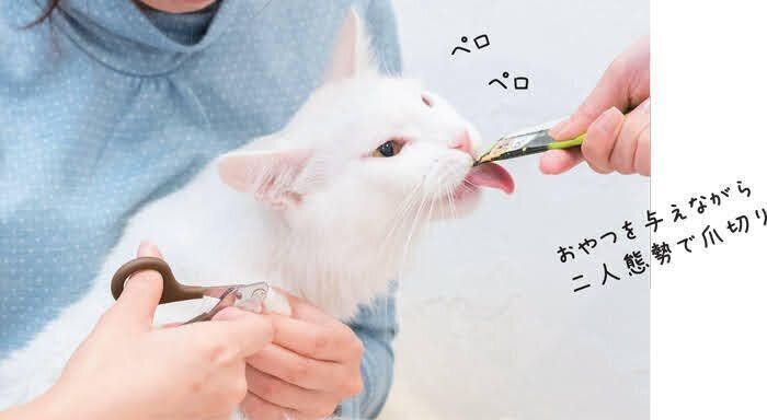 おやつを使った「ながら爪切り」