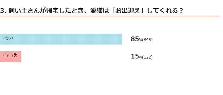 「3. 飼い主さんが帰宅したとき、愛猫は「お出迎え」してくれる？」アンケート結果