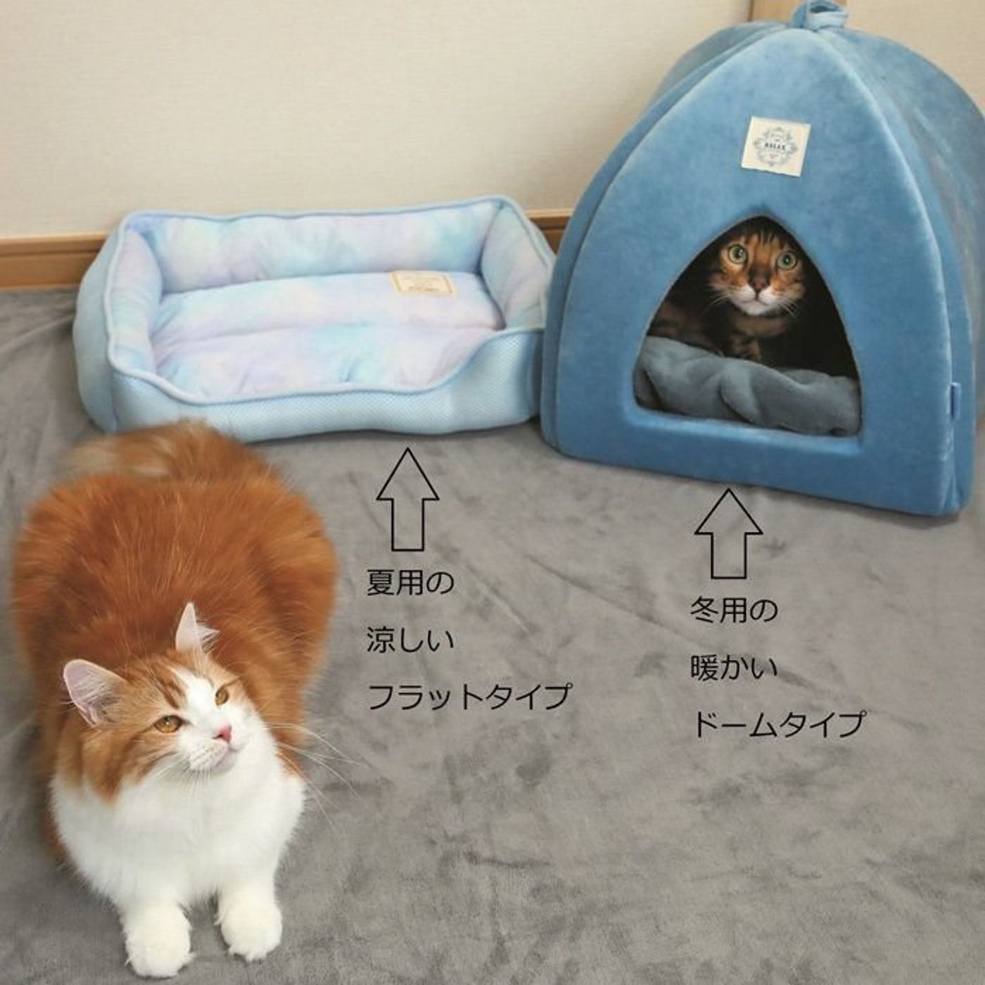 正しい 猫のための冬支度 はできてますか 寒さ対策クイズで確認しよう ねこのきもちweb Magazine 正しい 猫のための冬支度 はできてますか 寒さ対策クイズで確認しよう ねこのきもちweb Magazine