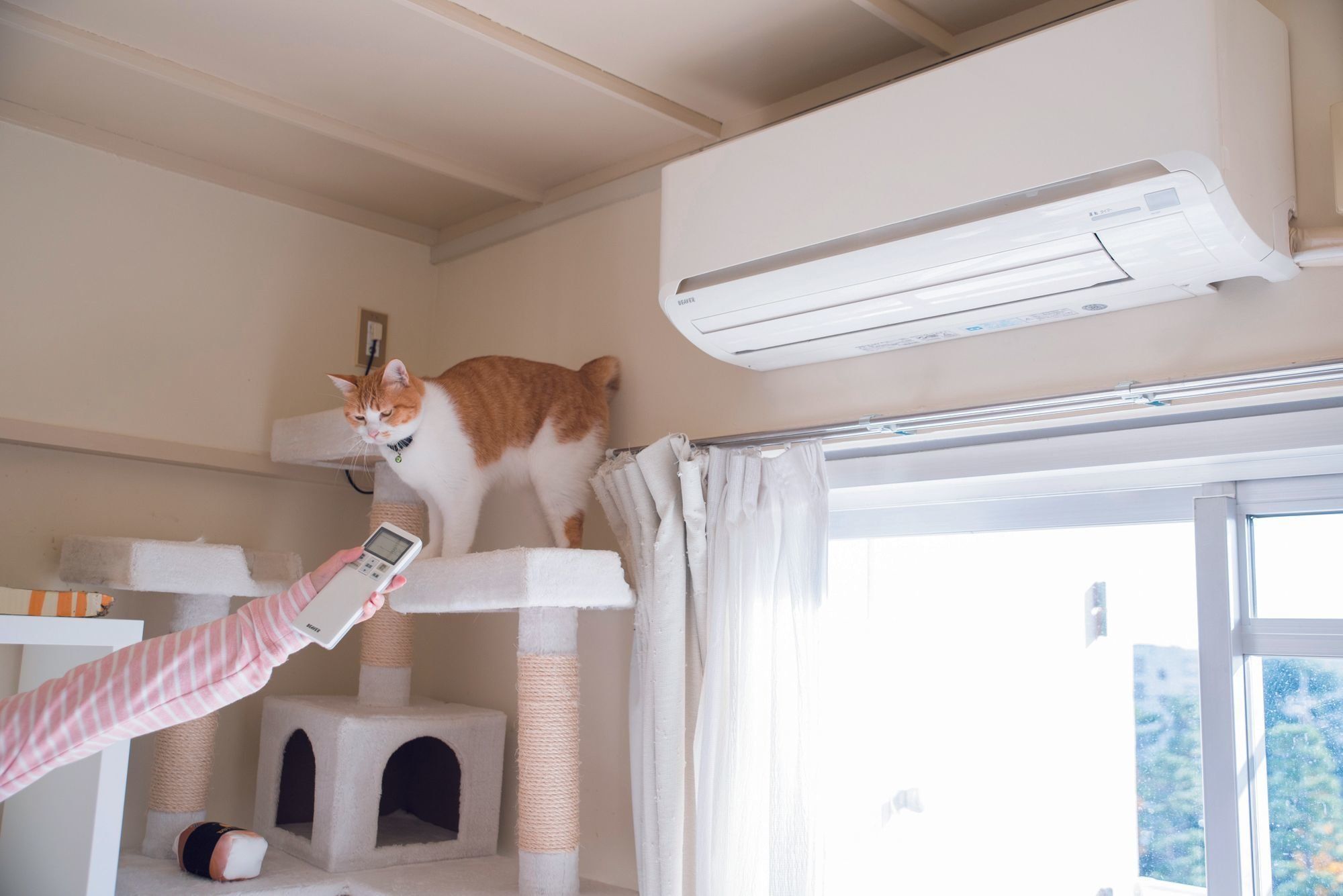 撮影／中川文作