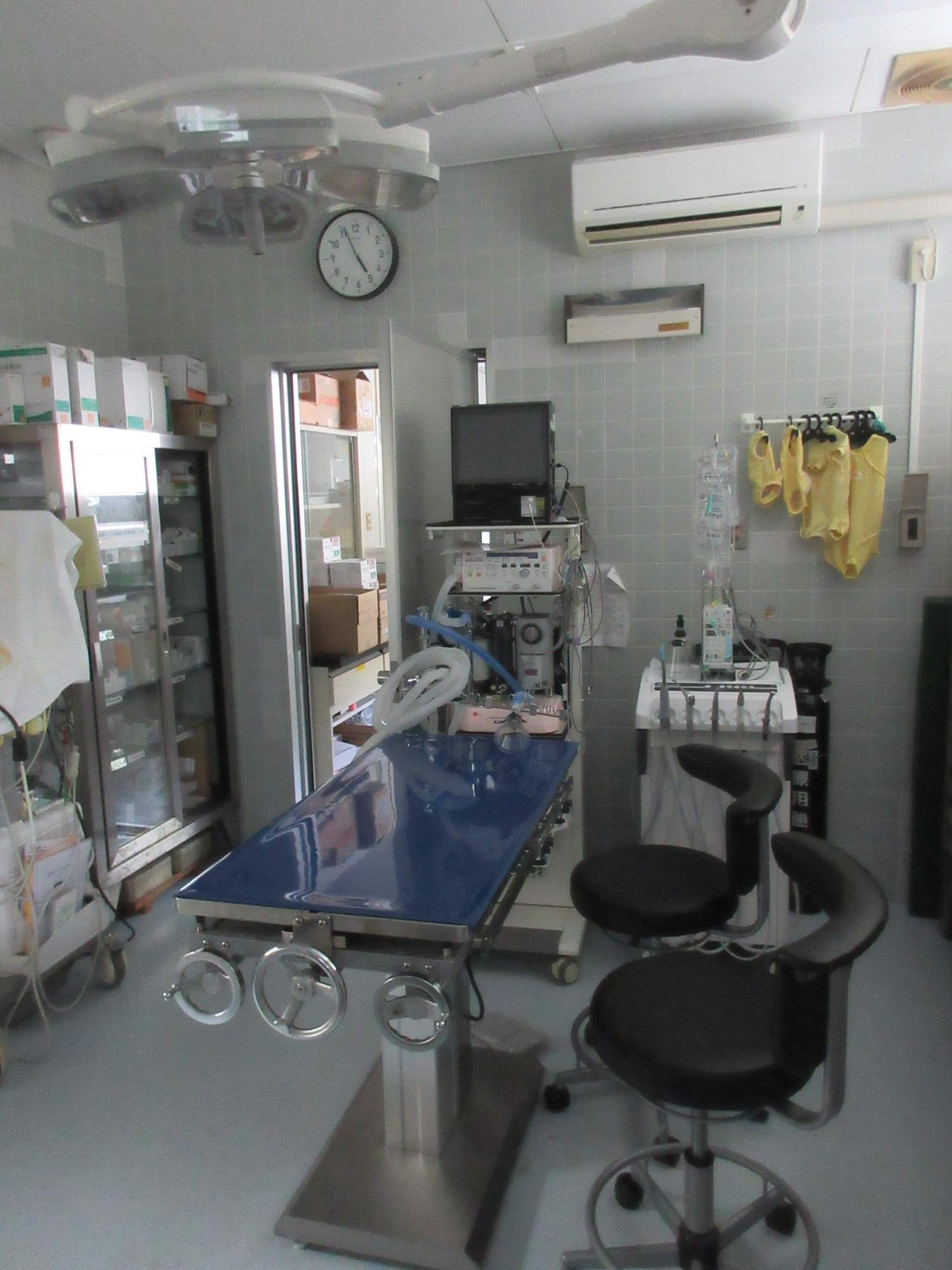 写真提供／名古屋市動物愛護センター