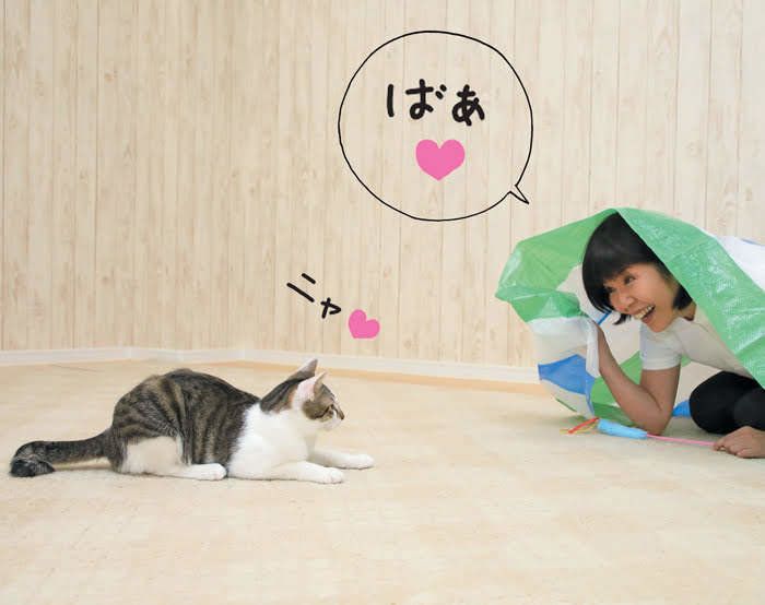 2018年9月号「ねこのきもち」