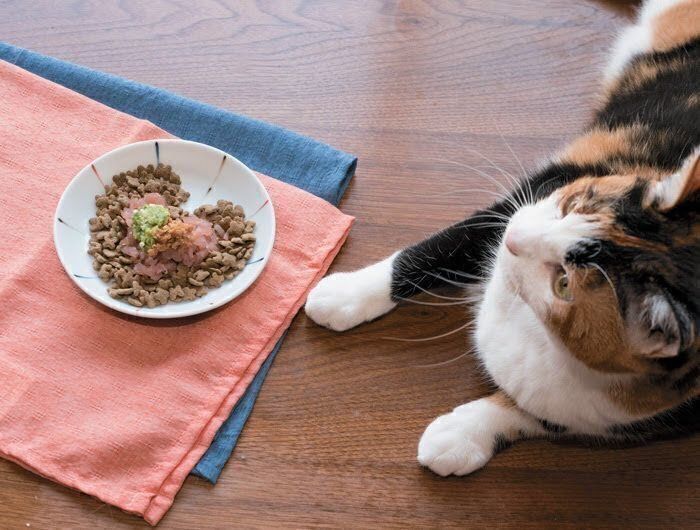 手作りのトッピングレシピ