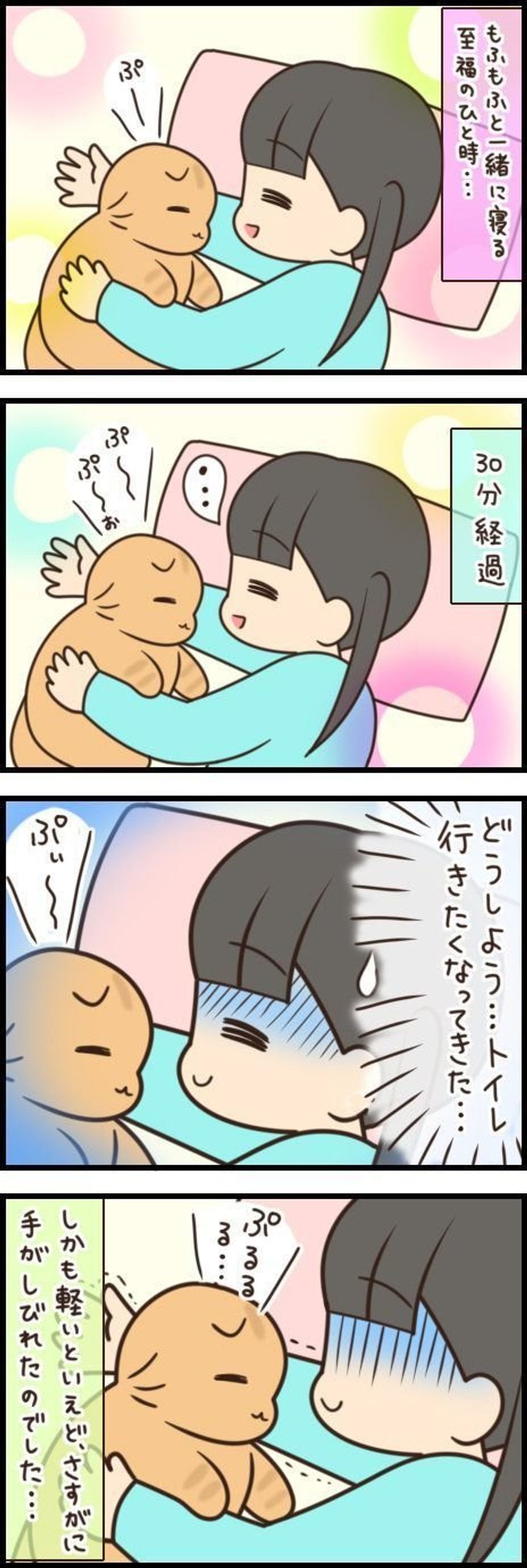 するほうもされるほうも幸せ 腕枕を堪能する猫 もふもふスコたん Vol 115 ねこのきもちweb Magazine するほうもされるほうも幸せ 腕枕を堪能する猫 もふもふスコたん Vol 115 ねこのきもちweb Magazine