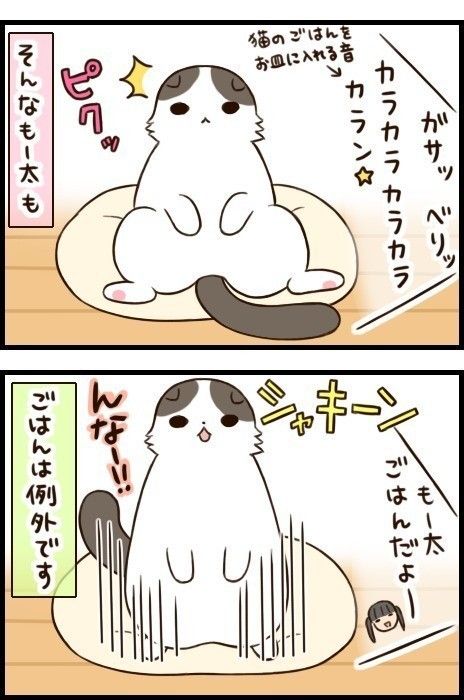 「もふもふスコたん」26話目