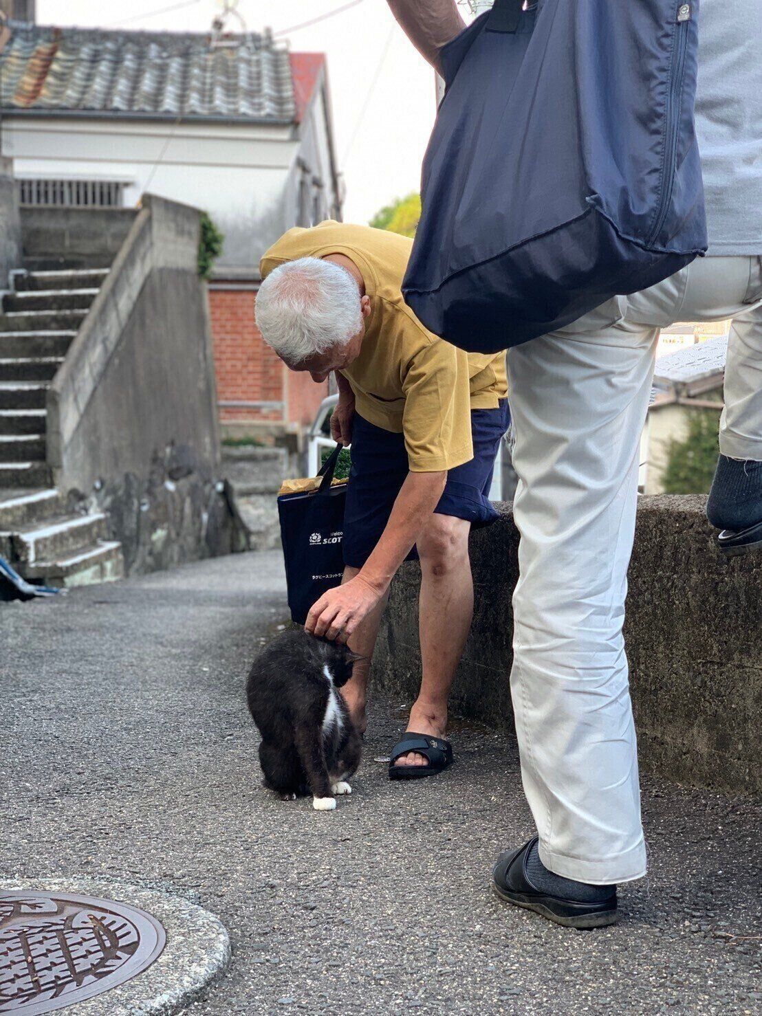 写真提供／nfs cats