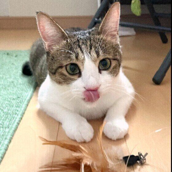 おもちゃで遊ぶ五郎君