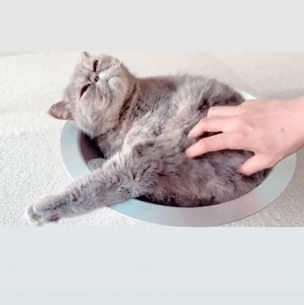 マッサージ中のふくすけくん